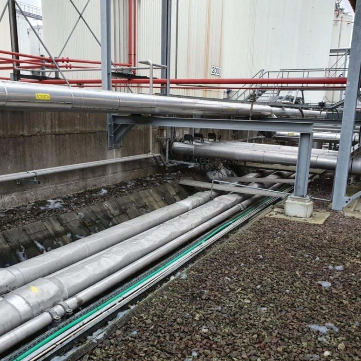 Biologische bodemsanering van Fenol te Moerdijk